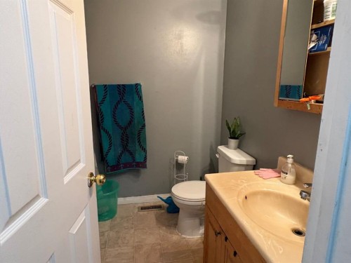 66 Upland Road West, Brooks, AB - Indoor Photo Showing Bathroom