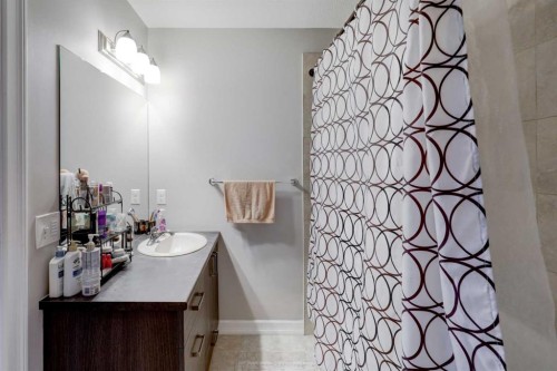 131 Copperpond Common Se, Calgary, AB - Indoor Photo Showing Bathroom