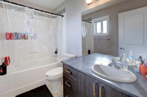 131 Copperpond Common Se, Calgary, AB - Indoor Photo Showing Bathroom