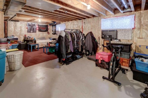 131 Copperpond Common Se, Calgary, AB - Indoor Photo Showing Basement