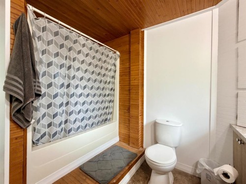 205 2 Street West, Munson, AB - Indoor Photo Showing Bathroom