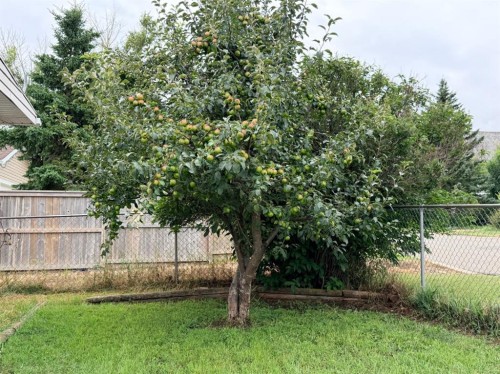 205 2 Street West, Munson, AB - Outdoor