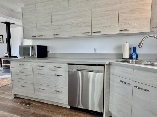 205 2 Street West, Munson, AB - Indoor Photo Showing Kitchen With Double Sink