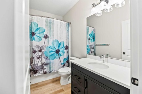 38 Bardwell Way, Sylvan Lake, AB - Indoor Photo Showing Bathroom