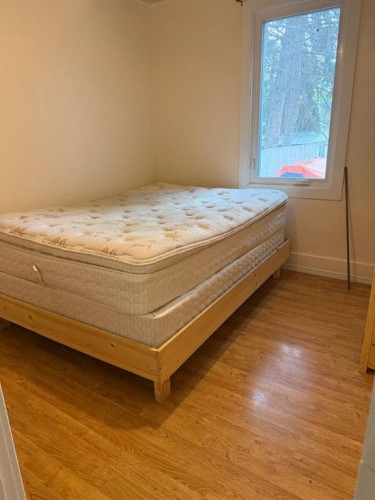 358 2 Street E, Drumheller, AB - Indoor Photo Showing Bedroom