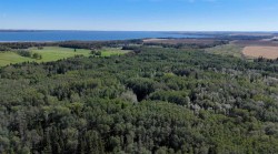 NW-4-42-1-W5 Range Road 14 Rural Ponoka County, AB T0C 2J0