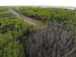 29 450031 73 Range  Rural Wainwright No. 61, M.D. Of, AB T9W 1L5