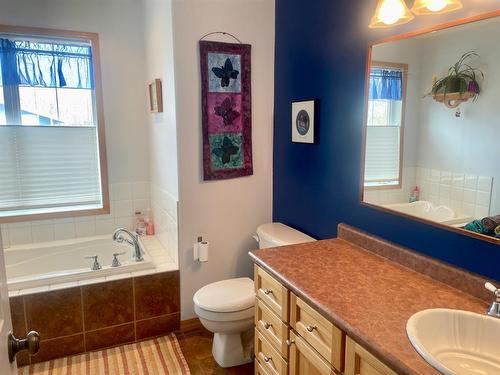 4619 51 Street, Mannville, AB - Indoor Photo Showing Bathroom