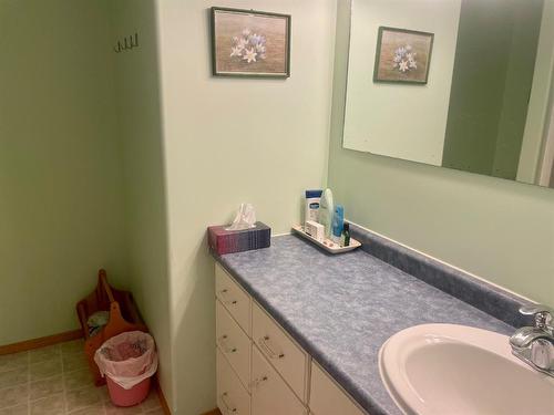 4619 51 Street, Mannville, AB - Indoor Photo Showing Bathroom