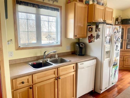 4619 51 Street, Mannville, AB - Indoor Photo Showing Kitchen With Double Sink