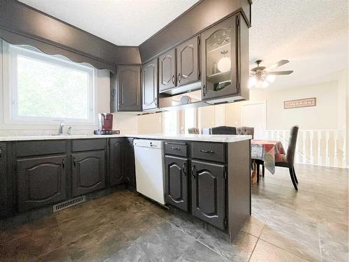 4900 2Nd Avenue North, Chauvin, AB - Indoor Photo Showing Kitchen