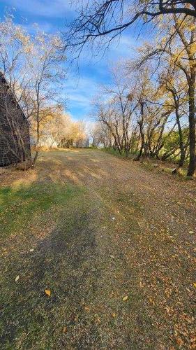 491037 Rr52, Rural Vermilion River, County Of, AB - Outdoor With View