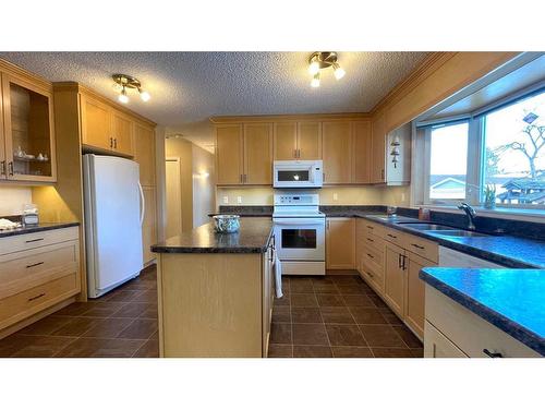 1621 4 Avenue, Wainwright, AB - Indoor Photo Showing Kitchen With Double Sink
