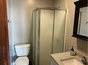 5115 46 Street, Provost, AB  - Indoor Photo Showing Bathroom 