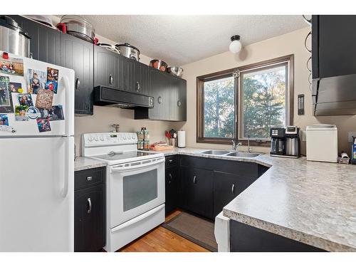108 3 Avenue West, Neilburg, SK - Indoor Photo Showing Kitchen With Double Sink