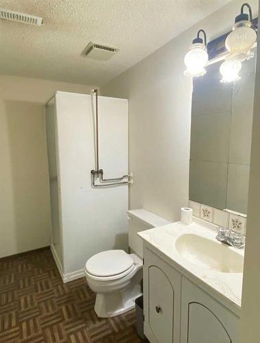 105 3 Street, Cadogan, AB - Indoor Photo Showing Bathroom