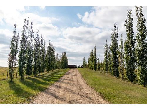 451074 Rg Rd 74, Rural Wainwright No. 61, M.D. Of, AB - Outdoor With View