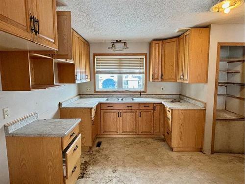 113 2 Street West, Waseca, SK - Indoor Photo Showing Kitchen With Double Sink