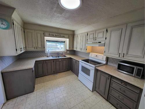 303 Railway Street, Paradise Hill, SK - Indoor Photo Showing Kitchen With Double Sink