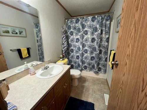 5102 51St Avenue, Blackfoot, AB - Indoor Photo Showing Bathroom