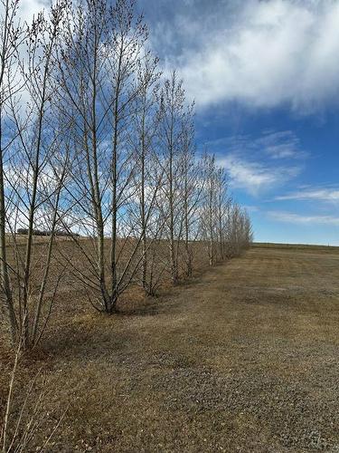 431076 Range Rd 23, Rural Wainwright No. 61, M.D. Of, AB - Outdoor With View