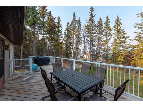 301 Spruce Road, Turtle Lake, SK - Outdoor With Deck Patio Veranda With Exterior
