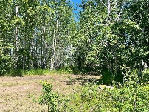 Lot 55 Lac Des Iles Crescent, Lac Des Iles, SK 