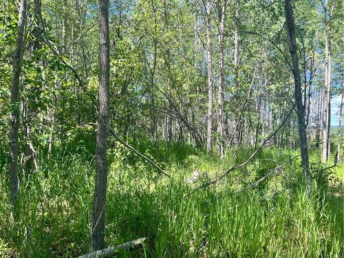 Lot 55 Lac Des Iles Crescent, Lac Des Iles, SK 