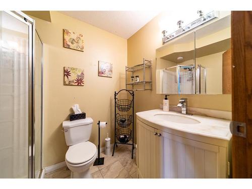 441058 Rge Rd 65, Rural Wainwright No. 61, M.D. Of, AB - Indoor Photo Showing Bathroom