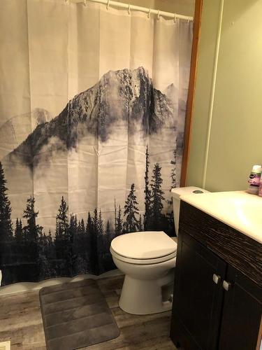 308 8 Avenue, Paradise Hill, SK - Indoor Photo Showing Bathroom