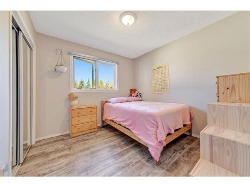 24 Big Gully Road, Rural Vermilion River, County Of, AB - Indoor Photo Showing Bedroom