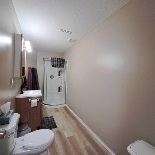 Lot 1 Blk 2 Plan 0123707-Ne 18-50-1 W4, Rural Vermilion River, County Of, AB - Indoor Photo Showing Bathroom