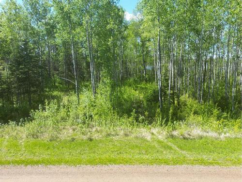 4 Branch Lake, Loon Lake, SK 