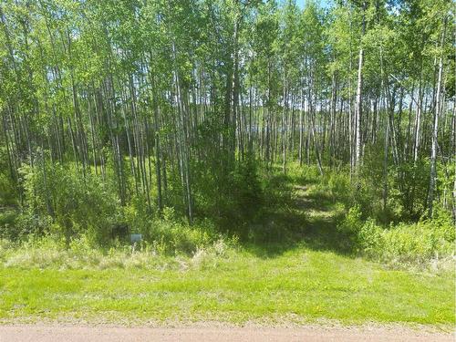 6 Branch Lake, Loon Lake, SK 