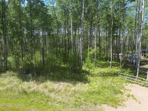 8 Branch Lake, Loon Lake, SK 