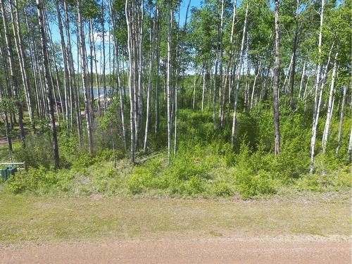 12 Branch Lake, Loon Lake, SK 