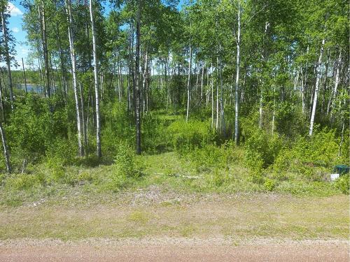 13 Branch Lake, Loon Lake, SK 