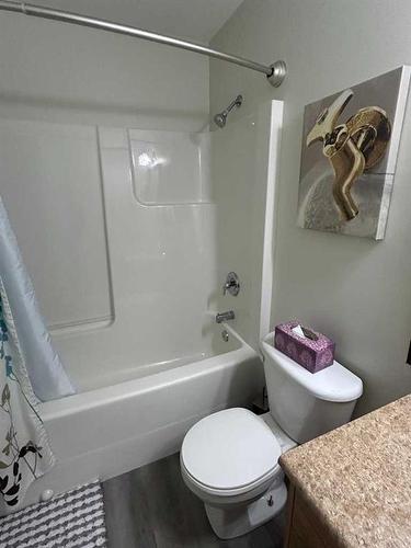 5203 64 Street, Vermilion, AB - Indoor Photo Showing Bathroom