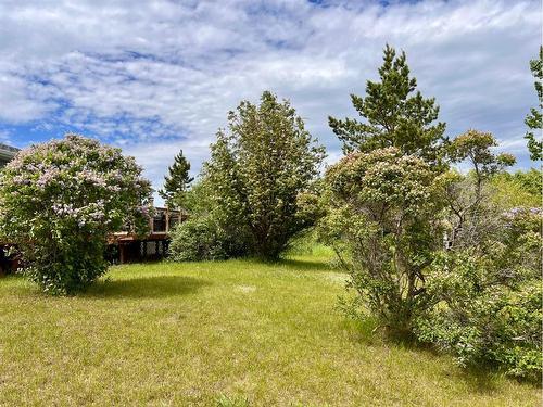 18 Combs Drive, Rural Wainwright No. 61, M.D. Of, AB - Outdoor With View
