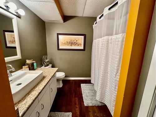 5501 43 Street, Provost, AB - Indoor Photo Showing Bathroom
