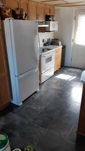 4819 3 Avenue, Chauvin, AB - Indoor Photo Showing Kitchen