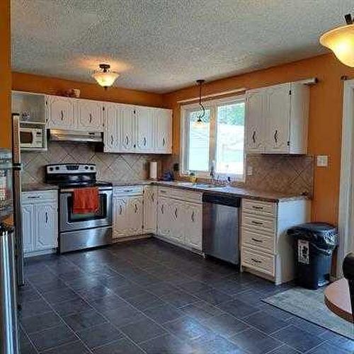 4113 52 Avenue, Lloydminster, AB - Indoor Photo Showing Kitchen