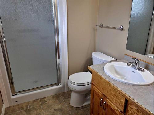 5115 51 Street, Mannville, AB - Indoor Photo Showing Bathroom