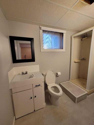 5014 Imperial Avenue, Coronation, AB - Indoor Photo Showing Bathroom