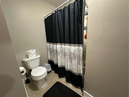 5112 54 Street, Mannville, AB - Indoor Photo Showing Bathroom