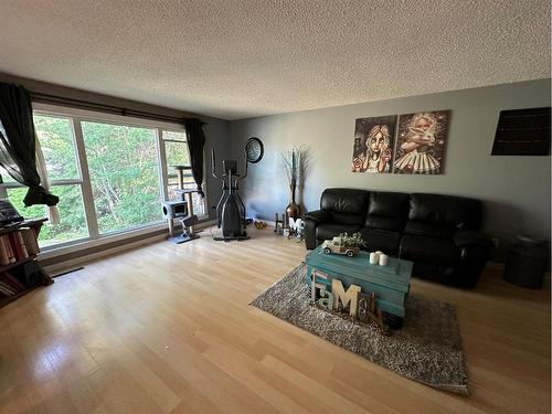 5112 54 Street, Mannville, AB - Indoor Photo Showing Living Room