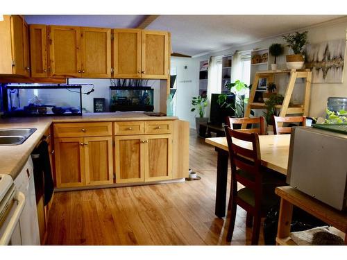 112 1St Avenue East, Neilburg, SK - Indoor Photo Showing Kitchen With Double Sink