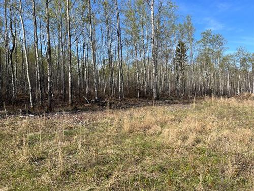 Lot 5 Murphy Lake, Rm Of Loon Lake, Rural, SK 