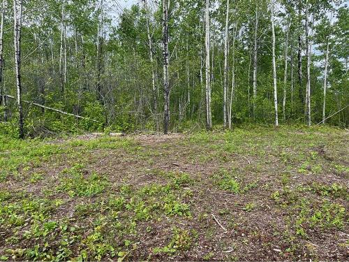 Lot 5 Murphy Lake, Rm Of Loon Lake, Rural, SK 