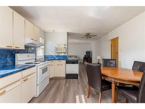 507 1 Street East, Maidstone, SK - Indoor Photo Showing Kitchen